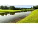 Scenic pond with lush greenery, offering a peaceful and picturesque setting for relaxation and enjoying nature at 679 Gold Valley Pass, Canton, GA 30114