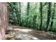 Tranquil backyard area with patio space backing to a lush green forest at 110 Vistacrest Way, Roswell, GA 30075