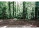 Lush wooded backyard featuring mature trees, providing a private and serene outdoor setting at 110 Vistacrest Way, Roswell, GA 30075