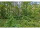 Wooded backyard with a variety of lush foliage and natural light at 2675 Paul Thomas Dr, Dacula, GA 30019
