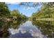 Scenic view of the Chattahoochee River with trees on each side at 1440 Water View Ln, Suwanee, GA 30024