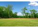 Expansive backyard with lush green grass, surrounded by mature trees, under a blue sky at 281 Abbott Dr, Canton, GA 30114