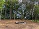 The backyard features a stone firepit area and is surrounded by mature trees at 178 Mission Oak Dr, Grayson, GA 30017