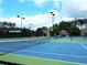 Well-lit tennis courts with benches and surrounding homes provide a great playing experience at 43 Wickford Way, Villa Rica, GA 30180