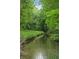 Picturesque stream surrounded by lush greenery and trees, creating a tranquil natural setting at 1101 N Flat Rock Rd, Douglasville, GA 30134
