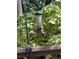 A cute bird sits on a bird feeder within the verdant backyard space at 475 Nottingham Dr, Marietta, GA 30066