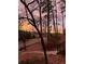 Lovely neighborhood views with natural beauty during dusk/dawn at 475 Nottingham Dr, Marietta, GA 30066