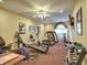 Well-equipped fitness center with modern exercise machines and natural light at 106 Vintage Club Cir, Marietta, GA 30066