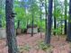 Tranquil wooded backyard with mature trees, a rustic shed, and a charming birdhouse, perfect for nature lovers at 1093 Spruce Creek Ln, Lawrenceville, GA 30045