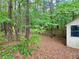 Secluded backyard with lush greenery and a wooden fence, offering privacy and a tranquil setting at 1093 Spruce Creek Ln, Lawrenceville, GA 30045
