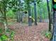 Backyard playground with a slide in a treed-in wooded area. American flag featured at 1093 Spruce Creek Ln, Lawrenceville, GA 30045