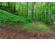 A tranquil backyard, with mature trees and lush foliage providing privacy and a natural setting at 204 Queensbury Ct, Acworth, GA 30102