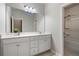 The bathroom showcases a vanity, large mirror, and combo tub and shower with a plant adding a touch of freshness at 4830 Frontier Dr, Cumming, GA 30028