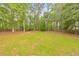 Lush green backyard, surrounded by mature trees, perfect for outdoor activities and enjoying nature at 115 Eagle Ridge Dr, Canton, GA 30114
