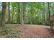 The wooded backyard features mature trees offering a natural and secluded setting at 3679 Regent Nw Dr, Kennesaw, GA 30144