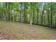 Serene wooded backyard with a mix of trees and natural ground cover at 3679 Regent Nw Dr, Kennesaw, GA 30144