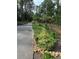 Long, paved driveway with landscaping and trees on either side at 3701 Shallowford Rd, Marietta, GA 30062