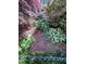 Lush landscaping features a variety of plants and trees, creating a tranquil garden space at 3701 Shallowford Rd, Marietta, GA 30062