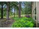Secluded backyard patio surrounded by lush greenery, towering trees and manicured landscaping at 170 Elysian Nw Way, Atlanta, GA 30327