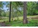 Expansive backyard with mature trees, lush greenery, manicured lawn, and a decorative fountain feature at 170 Elysian Nw Way, Atlanta, GA 30327