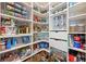 Organized pantry featuring shelving, canned goods, dry foods, storage, and cooking supplies at 529 Azalea Bloom Dr, Loganville, GA 30052