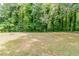 The backyard features a lush lawn and mature trees, perfect for outdoor activities and relaxation at 2950 Camary Place Se Dr, Conyers, GA 30094