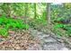 Rustic stone steps winding through a wooded area with vibrant ground cover at 15 Cherokee Nw Rd, Atlanta, GA 30305