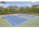 Well-maintained tennis courts surrounded by lush greenery and equipped with lighting for evening play at 509 Azalea Bloom Dr, Loganville, GA 30052