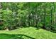 Secluded backyard featuring lush green grass and plenty of mature trees for shade and privacy at 1875 Briergate Dr, Duluth, GA 30097