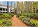 A backyard with a manicured garden and tall trees is viewed from a path with a wooden bench at 769 Hampton Sw Pl, Marietta, GA 30064