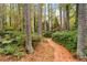 Scenic backyard view with brick pathway winding through mature trees and lush greenery, creating a peaceful retreat at 769 Hampton Sw Pl, Marietta, GA 30064