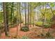 Expansive wooded backyard featuring mature trees and natural landscaping at 769 Hampton Sw Pl, Marietta, GA 30064