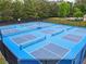 Outdoor pickleball courts offer residents an active and social recreational space in this community at 912 Santa Anita Dr, Woodstock, GA 30189