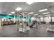 Well-equipped gym featuring modern weight machines, treadmills, and various fitness equipment for a complete workout experience at 301 Downing Creek Trl, Canton, GA 30114