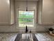 The stainless steel sink overlooks a lake and wooded backyard at 3340 Zingara Rd, Conyers, GA 30012