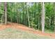 Natural backyard setting with grassy lawn and mature trees, perfect for outdoor enjoyment and privacy at 191 Davis Ct, Hiram, GA 30141