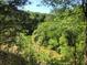 Tranquil view of the creek winding through a dense forest landscape with lush trees at 50 Maple St, Roswell, GA 30075