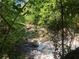 Serene creek view surrounded by lush greenery, creating a peaceful natural scene at 50 Maple St, Roswell, GA 30075