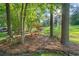 Serene backyard setting with mature trees, landscaping, and a relaxing hammock for outdoor enjoyment at 9889 Between The Grns, Villa Rica, GA 30180