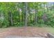 View of the lush, wooded backyard perfect for enjoying nature and outdoor activities at 2319 Rambling Way, Lithonia, GA 30058