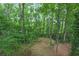 Backyard view showcases mature trees and lush greenery at 1922 Knipe Sw Dr, Marietta, GA 30064