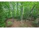 Backyard view showcases mature trees and lush greenery at 1922 Knipe Sw Dr, Marietta, GA 30064