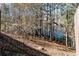 Wooded view from backyard with an enchanting glimpse of the lake through the trees at 6280 Stillwood Ln, Cumming, GA 30041