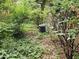 Outdoor view of the side yard and AC unit, surrounded by foliage and greenery at 1517 Colony East Cir, Stone Mountain, GA 30083