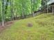 Sloping, mossy backyard bordered by trees and a wooden fence, providing a private and natural setting at 3722 Somerset Nw Rdg, Kennesaw, GA 30144