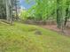 Lush, mossy backyard with mature trees and a rustic wooden fence, offering a serene and private outdoor space at 3722 Somerset Nw Rdg, Kennesaw, GA 30144
