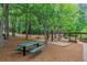 Community picnic area with picnic tables, swings, and a barbecue grill surrounded by mature trees and walkways at 3722 Somerset Nw Rdg, Kennesaw, GA 30144