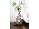 Bright living room decor featuring a potted plant next to a white couch, creating a cozy atmosphere at 2174 Basque Se Dr, Smyrna, GA 30080