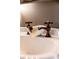 Close-up of a decorative sink faucet with ornate detailing, enhancing the bathroom's luxurious feel at 2174 Basque Se Dr, Smyrna, GA 30080