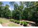 Lush backyard featuring manicured bushes and large trees creating a private, natural setting at 225 Blueberry Rdg, Milton, GA 30075